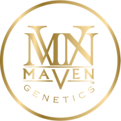 MAVEN BLUE AGAPE FLOWER STRAIN 3.5G