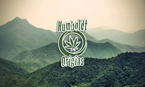 HUMBOLDT ORIGINS SOUR TANGIE 1G CARTRIDGE