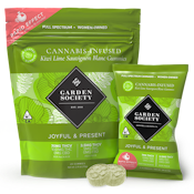 GARDEN SOCIETY JOYFUL & PRESENT GUMMY KIWI LIME SAUVIGNON BLANC 1:1 THCV/THC 100MG