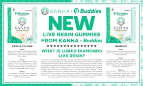 KAÑHA COLADA THC - BUDDIES X KANHA LIVE RESIN HYBRID